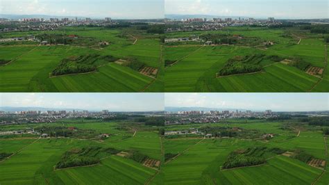 陕西汉中洋县春季自然风光mp4格式视频下载_正版视频编号172970-摄图网