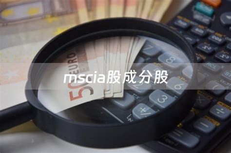 最新msci成分股名单_msci成分股半年度调整结果-口子资讯网