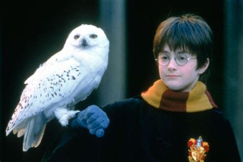 Listen to Harry Potter Read You the First Harry Potter Book on Spotify ...
