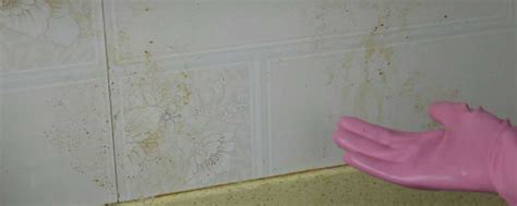 瓷砖上油渍怎么清洗干净 瓷砖上油渍的清洗方法_知秀网