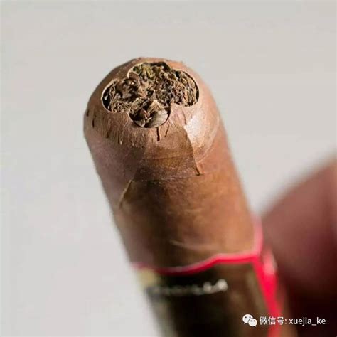 雪茄的成长都需要时间沉淀雪茄醇化的秘密_苦练短杆_新浪博客