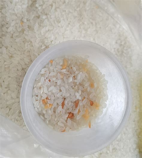 粳米和大米的区别是什么 大米的营养价值有哪些_百科知识_学堂_齐家网