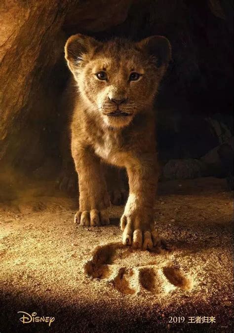 动物界真·权游，「狮子王」第一它列第二