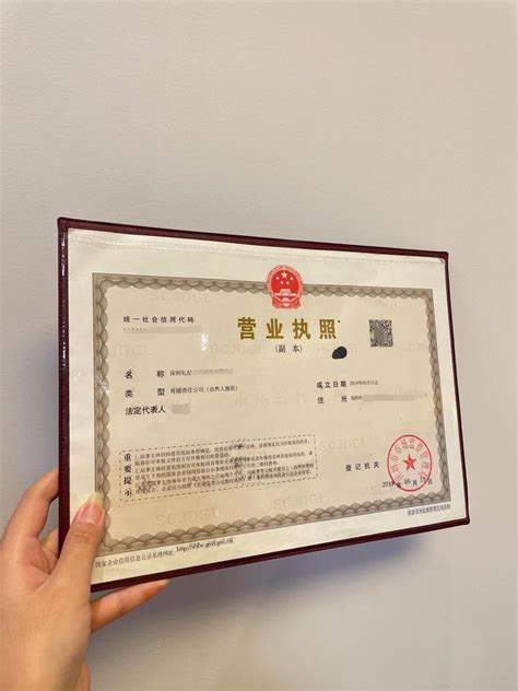 新版营业执照来了，河南首家上线实名验证系统，手把手教你操作-大河新闻