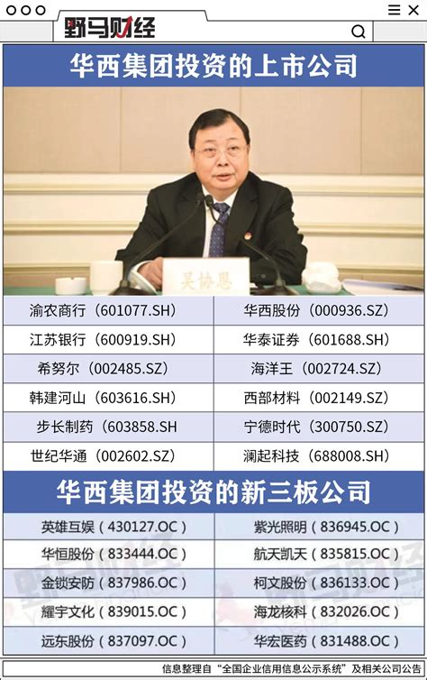 别再嘲笑华西村负债389亿 两股IPO后将进入收割季_手机凤凰网