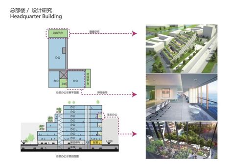 广东多功能小吃车 - SD - 爽歪歪 (中国 广东省 生产商) - 休闲食品 - 加工食品 产品 「自助贸易」