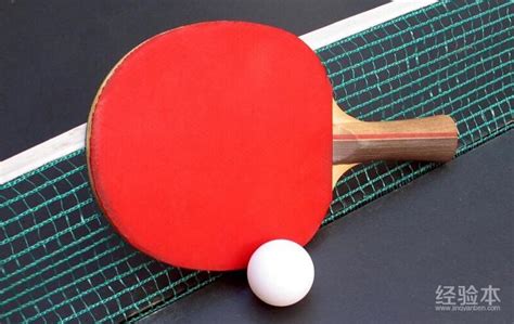 乒乓球比赛规则2021最新(乒乓球比赛规则简介)-参考网