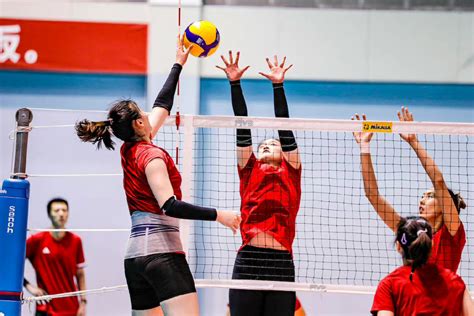 3比0横扫日本，中国女排亚运决赛将战泰国_新体育网