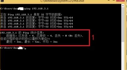 Linux命令-ping_linux一直ping的命令-CSDN博客