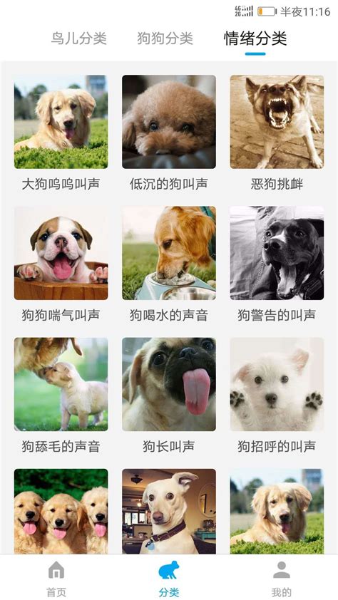 动物语言翻译器安卓版-动物语言翻译器app下载v2.2.2-乐游网软件下载