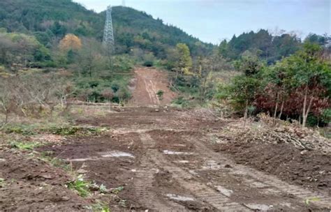 桑植县：铺排重点交通项目建设 跑好龙年第一棒 - 湖南省交通运输厅