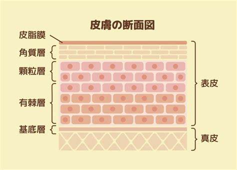 部队一天都有哪些训练内容