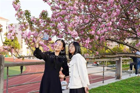 【美丽农林·生态校园】春暖花开，是浙农林大最美的样子-浙江农林大学