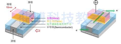 5.1 晶体的光学各向异性_word文档在线阅读与下载_无忧文档