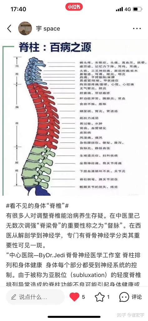 人体脊柱颈椎骨骼侧面图图片免费下载_红动网
