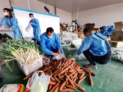 银川市金凤区线上销售全力保障市民蔬菜需求