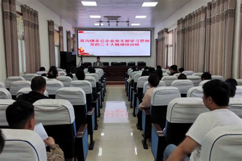 谯城区双沟镇举办非公企业党支部学习贯彻党的二十大精神培训班 - 谯城先锋网