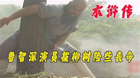 水浒传：拍摄鲁智深倒拔垂杨柳的戏份时，演员险些命丧黄泉！_腾讯视频
