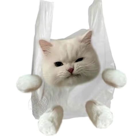 可爱汉堡猫头像图片