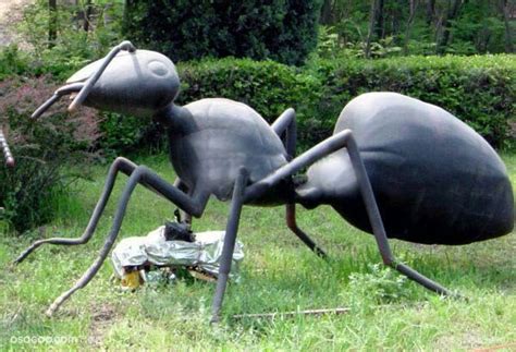 昆虫雕塑玻璃钢昆虫模型道具展示|资源-元素谷(OSOGOO)