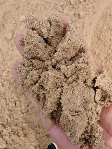 腾岩供应各种型号的分目河沙/黄沙 建筑河沙 河砂的价格-阿里巴巴