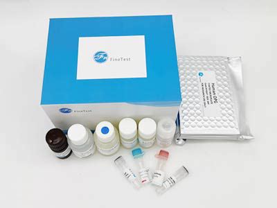 小鼠生长分化因子5(GDF5)elisa试剂盒-武汉菲恩生物科技有限公司
