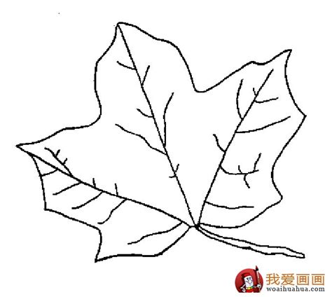 幼儿简笔画图片大全之各种树叶的画法和上色效果 肉丁儿童网