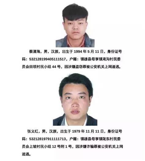 中国全球通缉令完整名单 中央追逃办公布22名外逃人员信息-闽南网