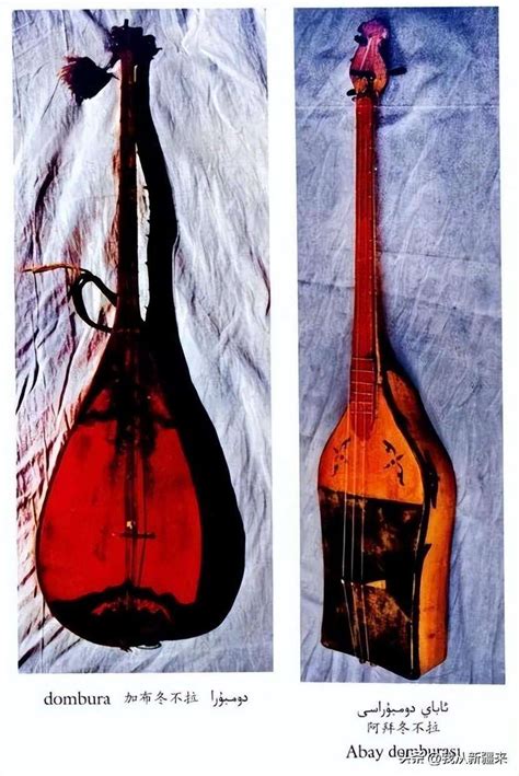 铜管管乐器图片和名字,各种花的图片和名字,管乐器(第8页)_大山谷图库