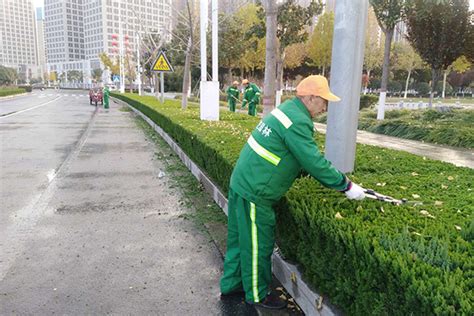 武汉绿化养护公司分享成功移植绿化养护植物的方法 - 湖北天工园林景观艺术工程有限公司