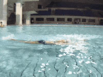 自由泳慢动作分解：自由泳的基本动作介绍