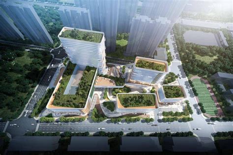 “牵手”同济，武汉硚口将新增一家三甲综合医院-新华网