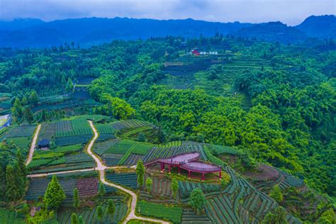 雅安雨城 农业供给侧崛起绿色产业-2017第五期-当代县域经济网