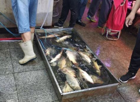 九江鱼花产业园：以鱼为媒，深入推动一二三产融合_水产