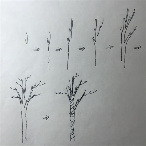 打印_7-9岁儿童画教程 大树怎么画最简单 - 老师板报网