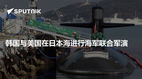 韩国与美国在日本海进行海军联合军演 - 2015年2月5日, 俄罗斯卫星通讯社