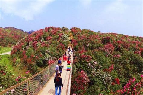 带你去看好玩的景点：贵州毕节阿西里西大草原网红波浪公路 - 必经地旅游网
