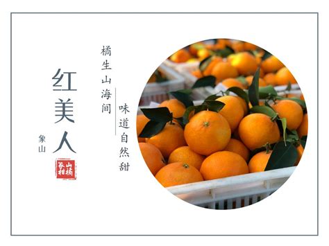 洪紫千：我为象山县“红美人”柑橘代言_中国环保新闻网 | 环保网