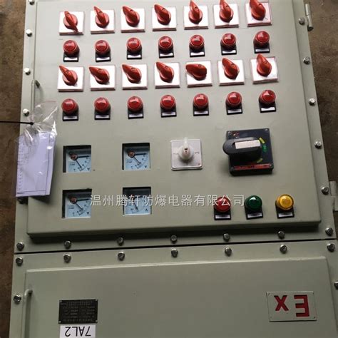 BXK-T-防爆变频柜控制箱 立式钢板焊接防爆配电柜-浙江腾轩防爆电器有限公司