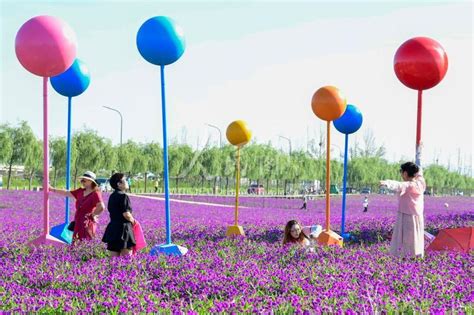 呼和浩特：鲜花俏销迎新春-人民图片网
