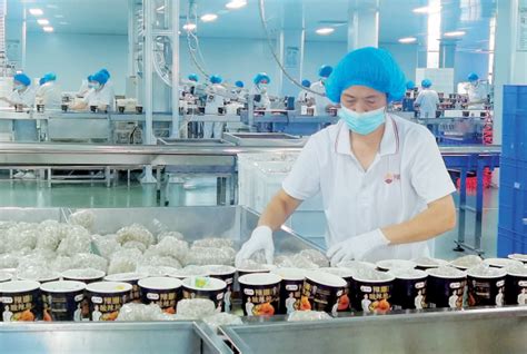 息县：龙头企业带动红薯产业做大做强-信阳日报-图片