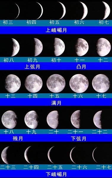 月亮的变化怎么画,画一画月亮的变化,一个月的月亮的变化图_大山谷图库