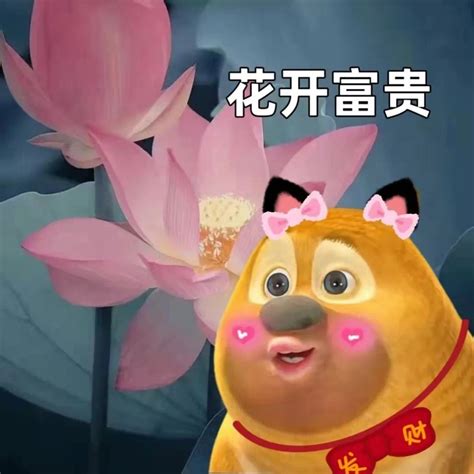 五色花图源网络侵删图片