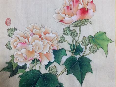 红白芙蓉图图片