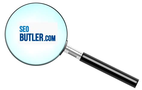 4 Top SEO Butler SEO Services Analyzed - SEO BreakThrough
