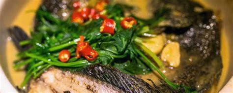黑鱼5种最好吃的做法，每种都简单美味，看看你喜欢吃哪种？