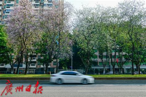 8月11日起，广州海珠区新港东路杨青路口交通组织进行调整