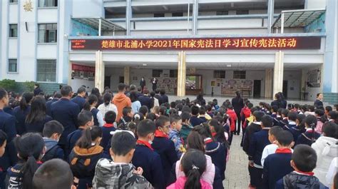 北浦小学开展“12·4”国家宪法日宣讲活动-楚雄市人民政府
