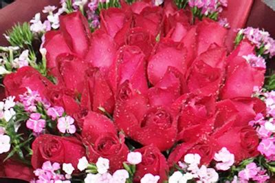一支玫瑰花摄影图片素材图片免费下载_红动中国