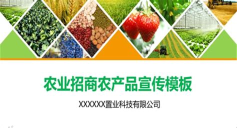 农业招商农产品宣传PPT模板图片-正版模板下载401195958-摄图网